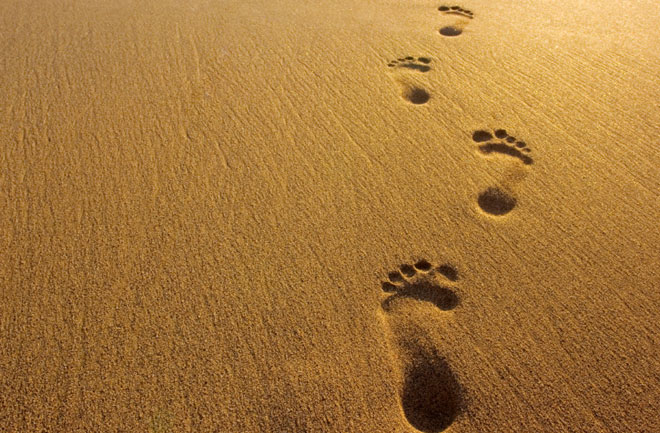 footsteps-1.jpg
